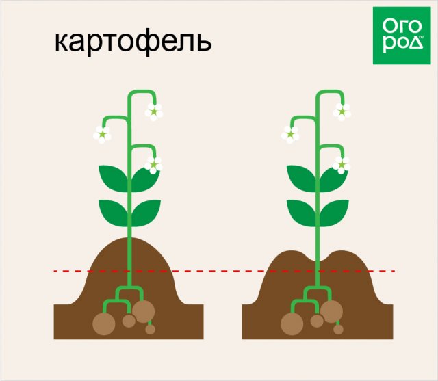 Настройка дисков для окучивания картофеля